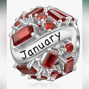 January Pandora style birthstone charm sterling silver with CZ stones
